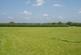 Additional image 19 of Shipmeadow, Beccles