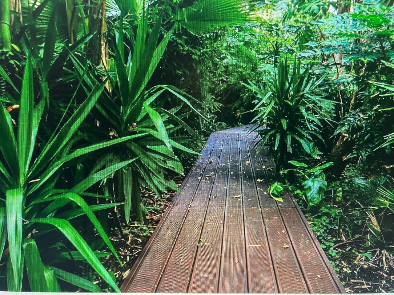 Additional image 7 of 2 Bed Maisonette, Albert Street, NW1, N1 7GU