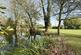 Additional image 35 of The Common, Mellis