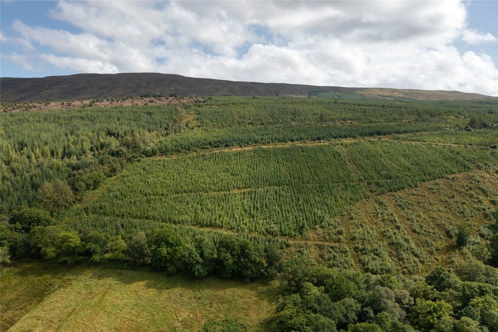 Additional image 6 of Land for saleSt. Catherines Forest, Cairndow, Cowal Peninsula, Argyll & Bute PA25