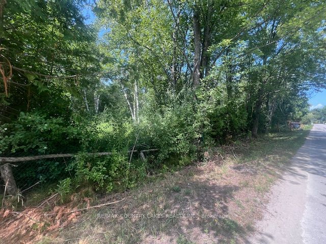 Additional image 6 of 122-123 Riverview Beach Road, Georgina, ON, L0E 1N0