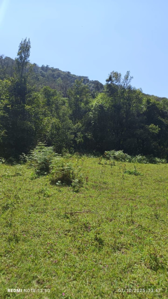 Additional image 2 of Coorg, Mysore