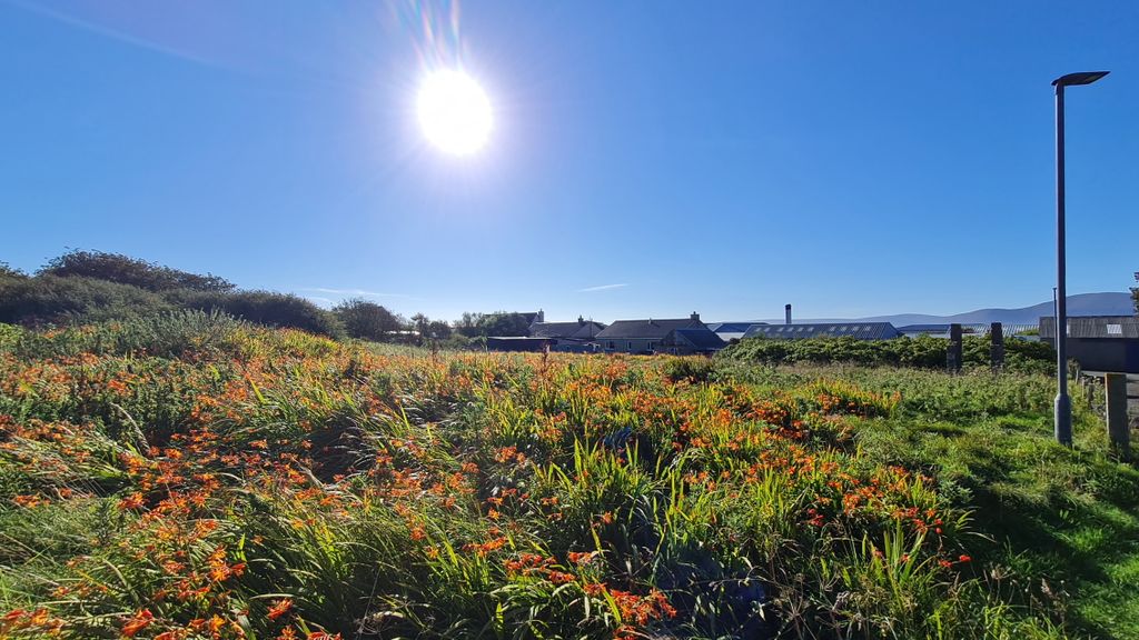 Land for saleCairston Drive, Stromness KW16