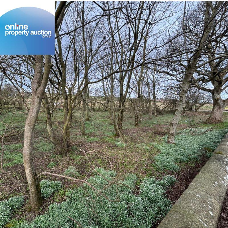 Additional image 8 of Tyrie Church Woodland, Fraserburgh, AB43 6SQ