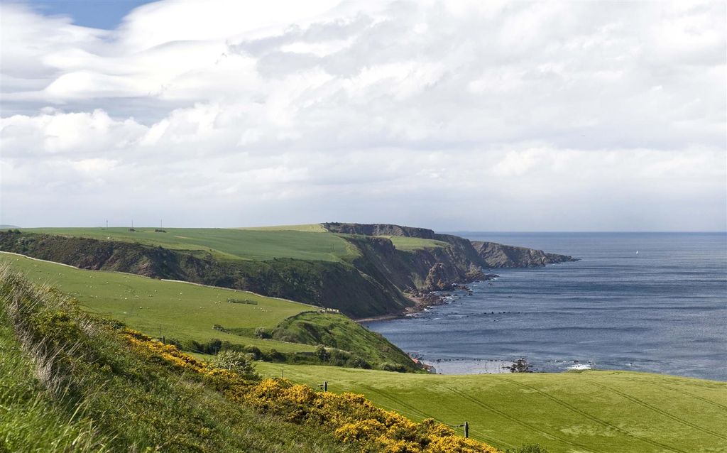 Additional image 10 of Land for saleDevelopment Site, Burnmouth, Eyemouth TD14