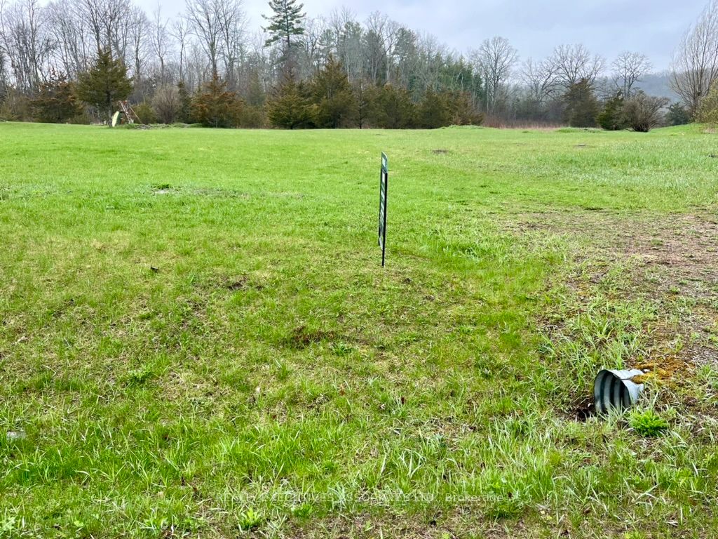 Additional image 3 of 594 Percy Boom Road, Trent Hills, ON, K0L 1L0