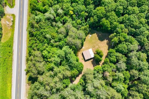 Additional image 7 of 12916 Highway 28 N/a, North Kawartha, ON, K0L 1A0