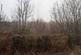 Additional image 8 of Land at, 36 Hylton Terrace, Bedlinog, Treharris, Mid Glamorgan, CF46 6RG