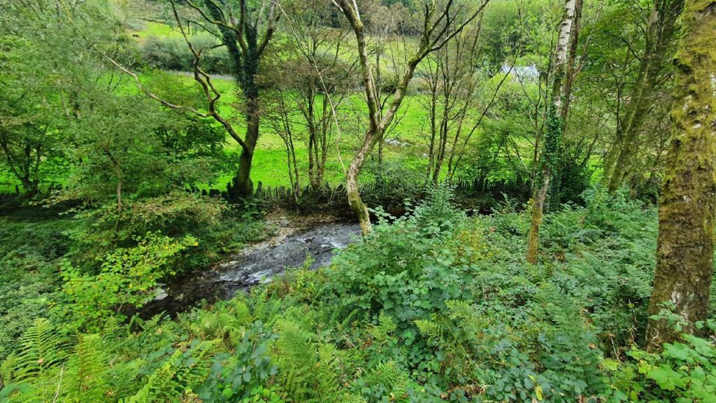 Additional image 14 of Land for saleUpper Corris, Machynlleth SY20