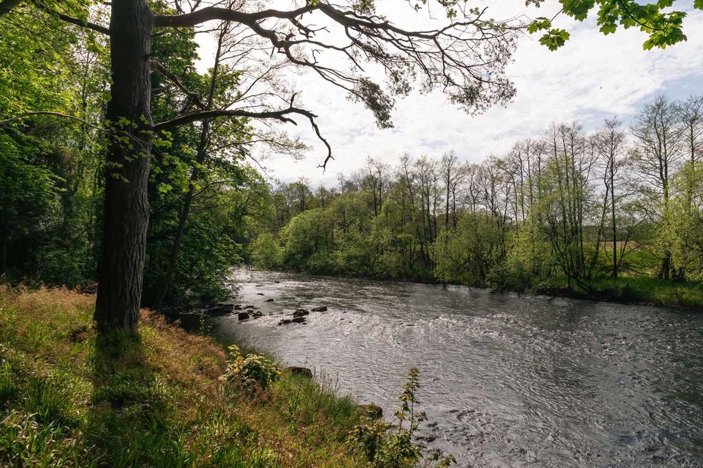 Additional image 21 of 6 bed detached house for saleGreystead Rectory, Old Church & Cottage, Tarset, Northumberland NE48