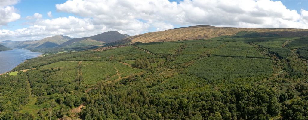 Additional image 12 of Land for saleSt. Catherines Forest, Cairndow, Cowal Peninsula, Argyll & Bute PA25