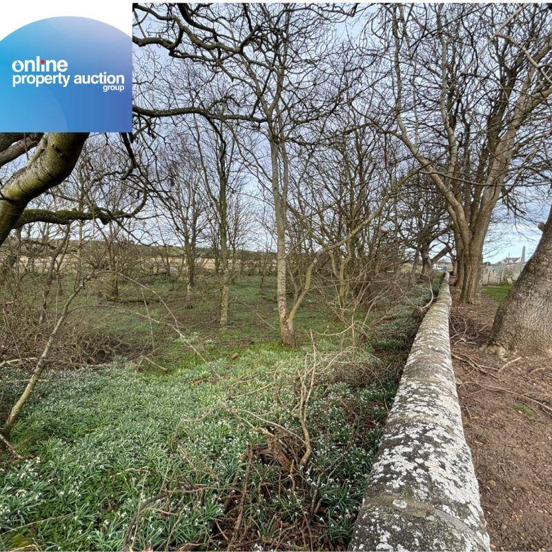 Additional image 5 of Tyrie Church Woodland, Fraserburgh, AB43 6SQ