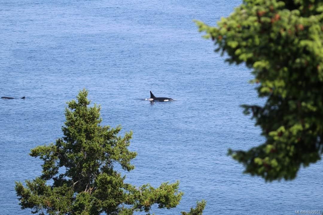 Additional image 4 of 198 Heritage Drive, Nanaimo, BC, V9V 1J9