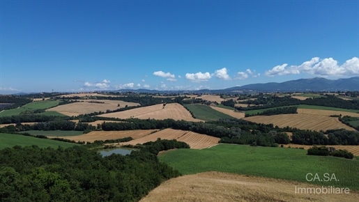 Additional image 13 of Todi (Perugia)