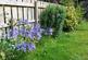 Additional image 16 of Greener Court, Prudhoe NE42