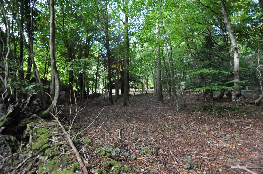 Additional image 10 of Land for saleMinepitts Lane, Symonds Yat West, Ross-On-Wye, Herefordshire HR9