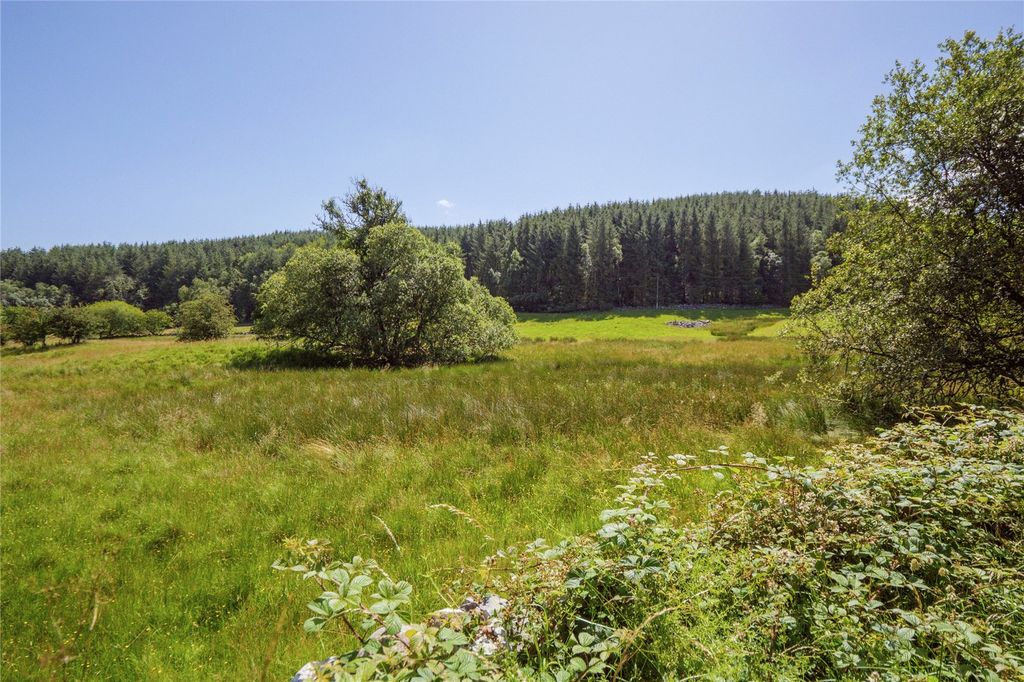 Additional image 4 of Land for saleSundaywell Moor & Nether Whiteside Moor, By Dunscore, Dumfries DG2