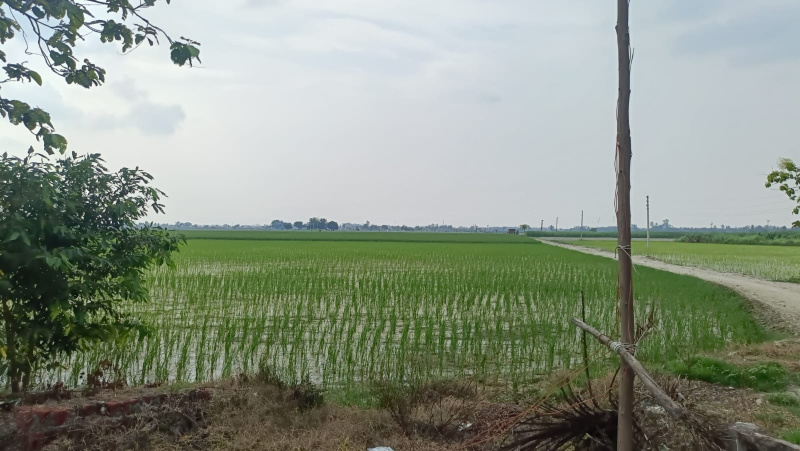 Additional image 3 of Bankner, Delhi