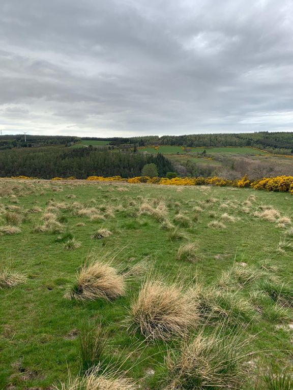 Land for saleDallas IV36 photo 5