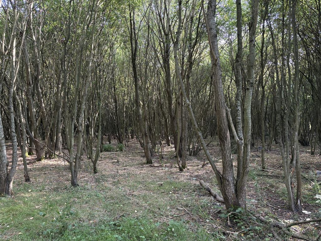 Land for saleBell Lane, Sutton Manor, St. Helens WA9