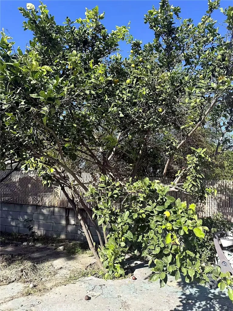 Additional image 22 of 8717 Tilmont Ave, Pico Rivera, CA 90660