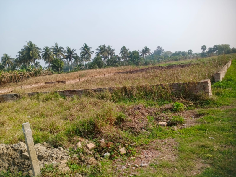 Additional image 2 of Rasapunja, Kolkata