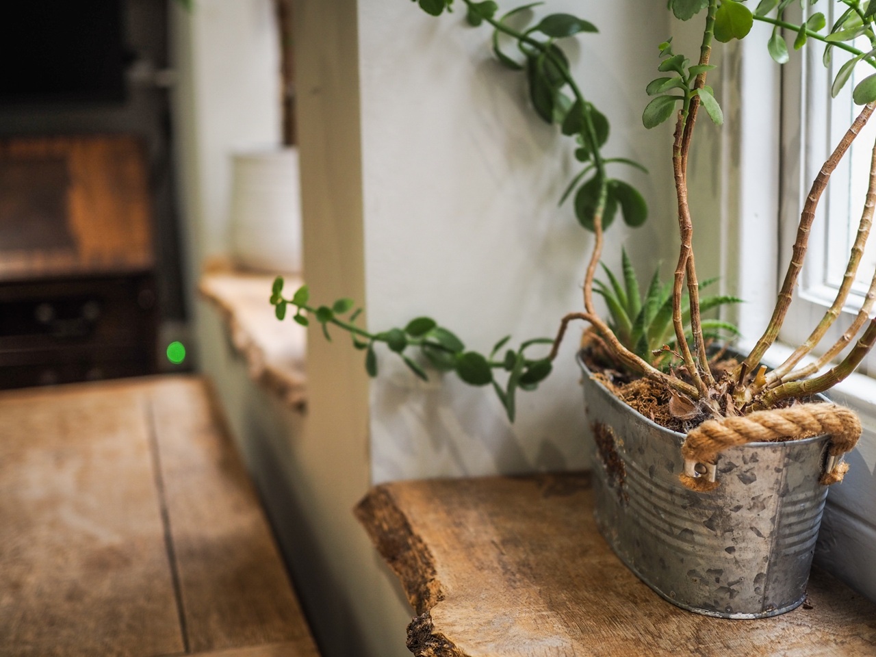 Additional image 6 of 1 Bed Flat, Norfolk House, SW1P, N1 7GU