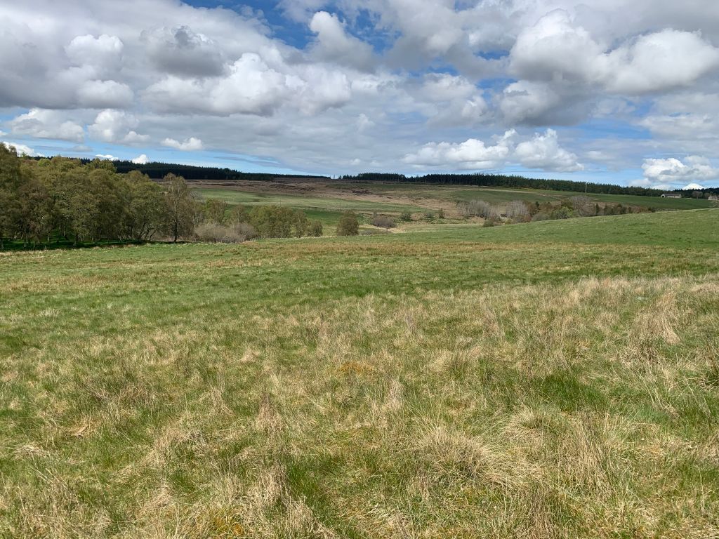Land for saleBurnside Of Ballintomb, Carron, Aberlour AB38