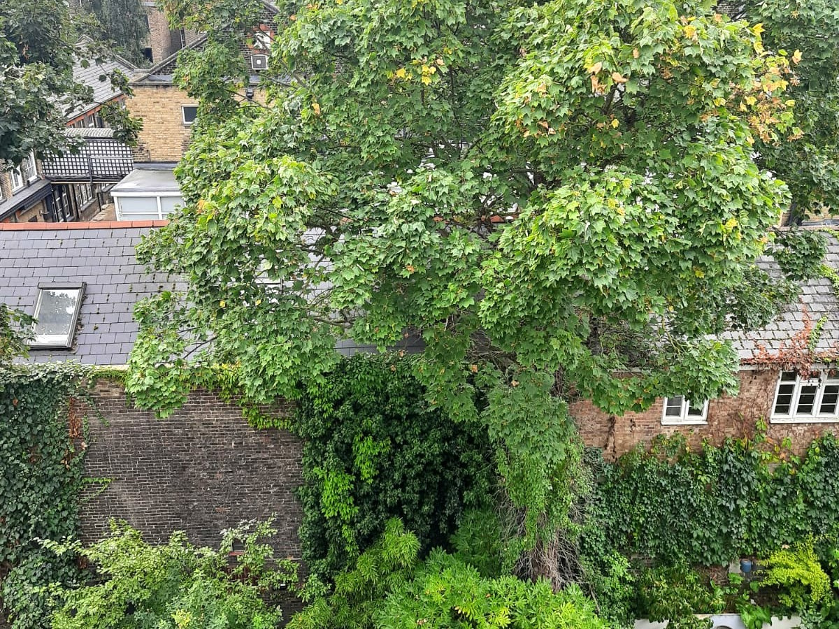 2 Bed Penthouse, Gloucester Avenue, NW1, N1 7GU