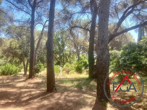 Additional image 4 of La Croix-Valmer (Var)