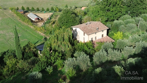 Additional image 6 of Monte Castello di Vibio (Perugia)