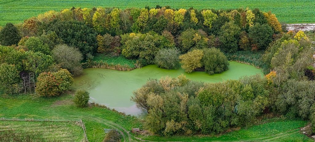 Additional image 31 of 4 bed detached house for saleNewchurch, Hoar Cross, Burton-On-Trent, Staffordshire DE13