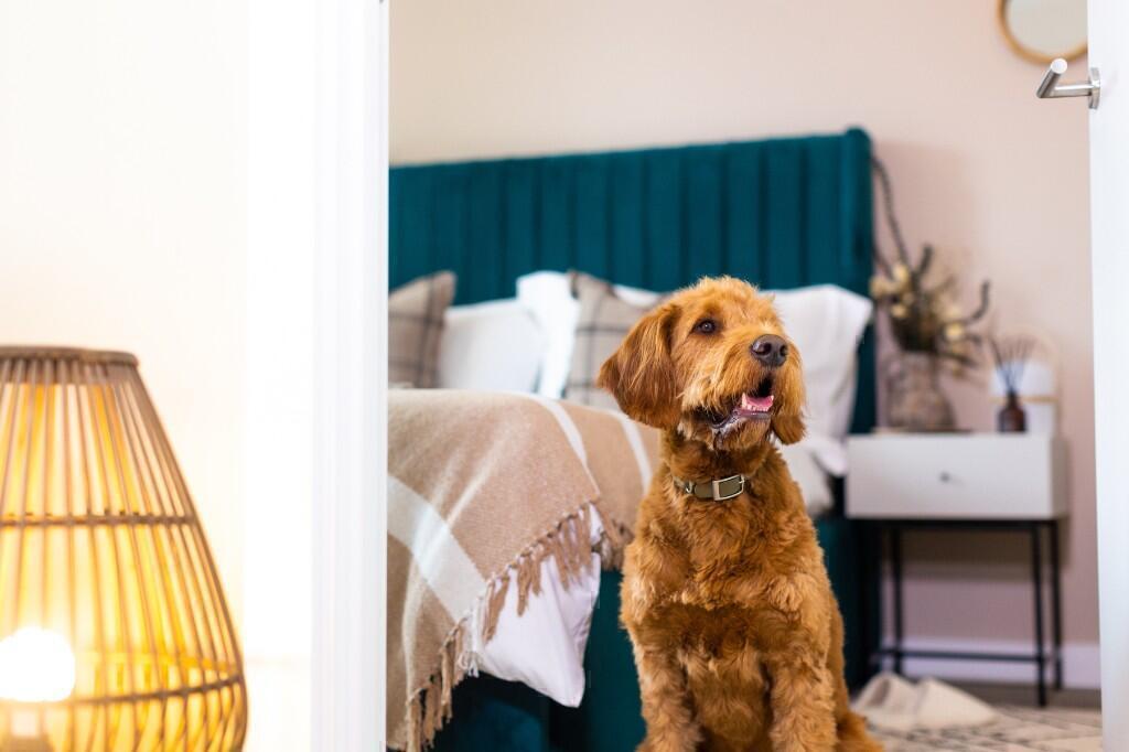 Additional image 14 of Flat 505, Bradford Street, Birmingham, B12