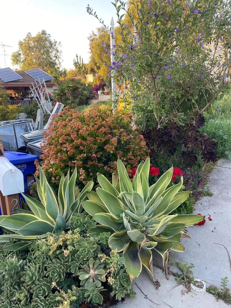 Additional image 36 of 2319 Ridgeway Drive, National City, CA 91950