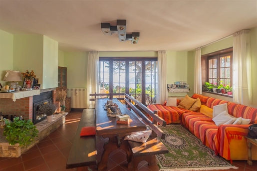 Additional image 13 of Verbania