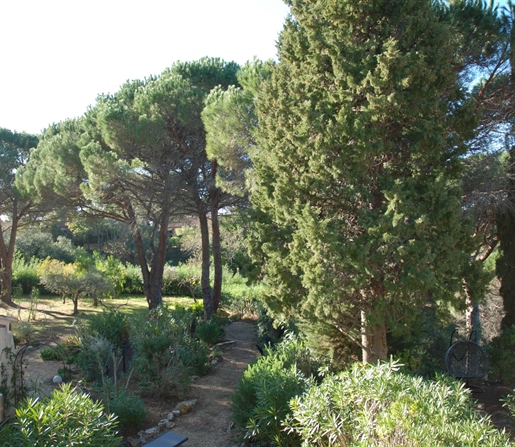 Additional image 14 of La Croix-Valmer (Var)