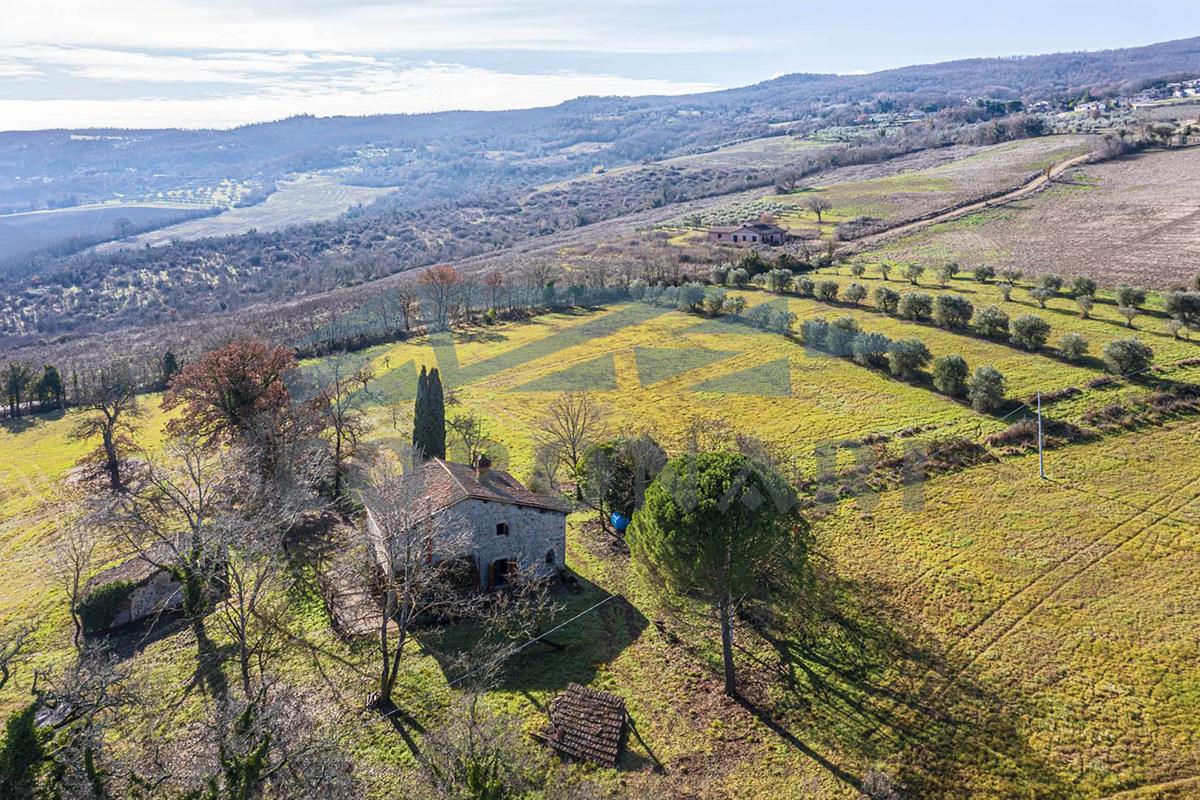 Additional image 13 of Todi (Perugia)