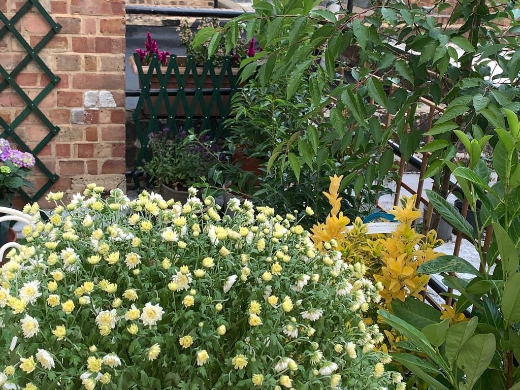 Additional image 13 of Studio Flat, Crawford Street, W1H, N1 7GU