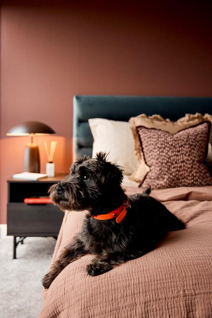 Additional image 9 of 2 Inkwell Place, Birmingham, B16