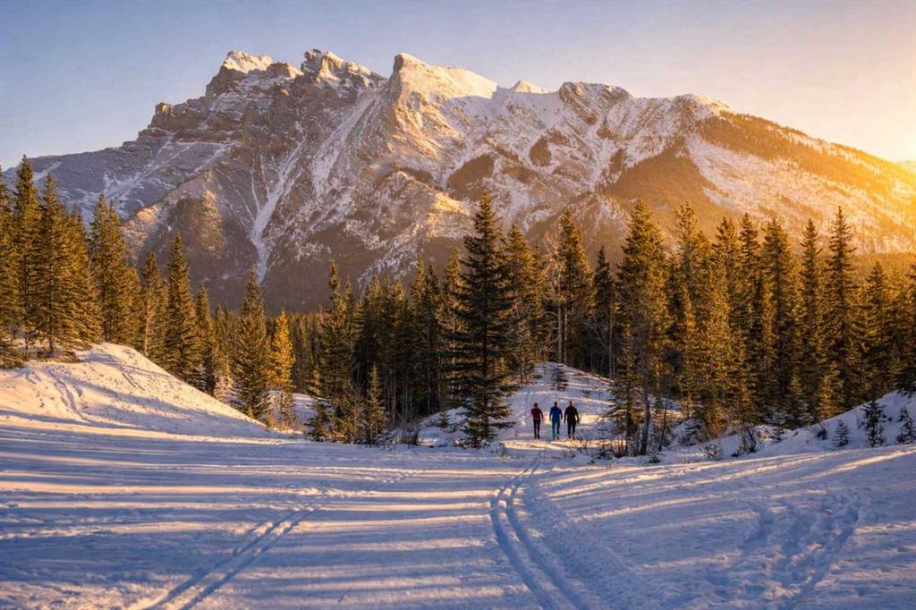 Additional image 6 of 38 Sunrise Way, Priddis Greens, AB, T0L 1W3