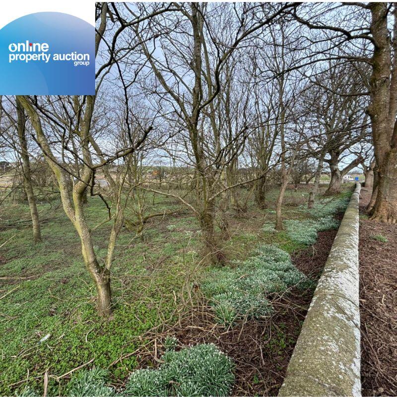 Additional image 14 of Tyrie Church Woodland, Fraserburgh, AB43 6SQ