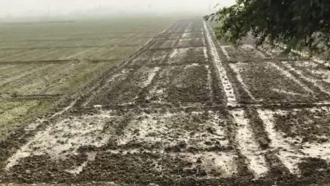 Additional image 2 of Deedarganj, Patna