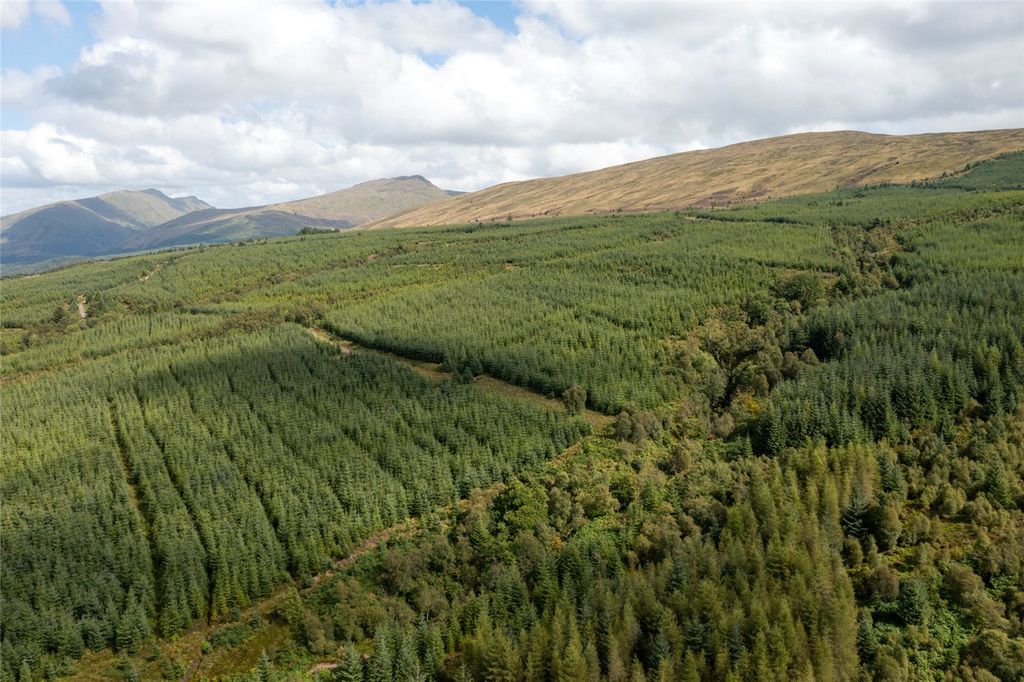 Additional image 5 of Land for saleSt. Catherines Forest, Cairndow, Cowal Peninsula, Argyll & Bute PA25