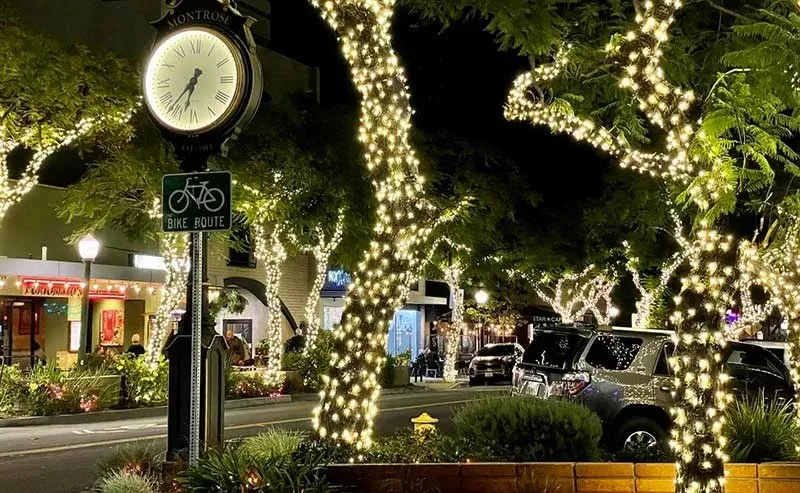 Additional image 46 of 2753 Piedmont Avenue Unit 3, Montrose, CA 91020