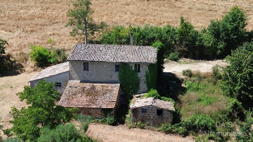 Additional image 11 of Todi (Perugia)