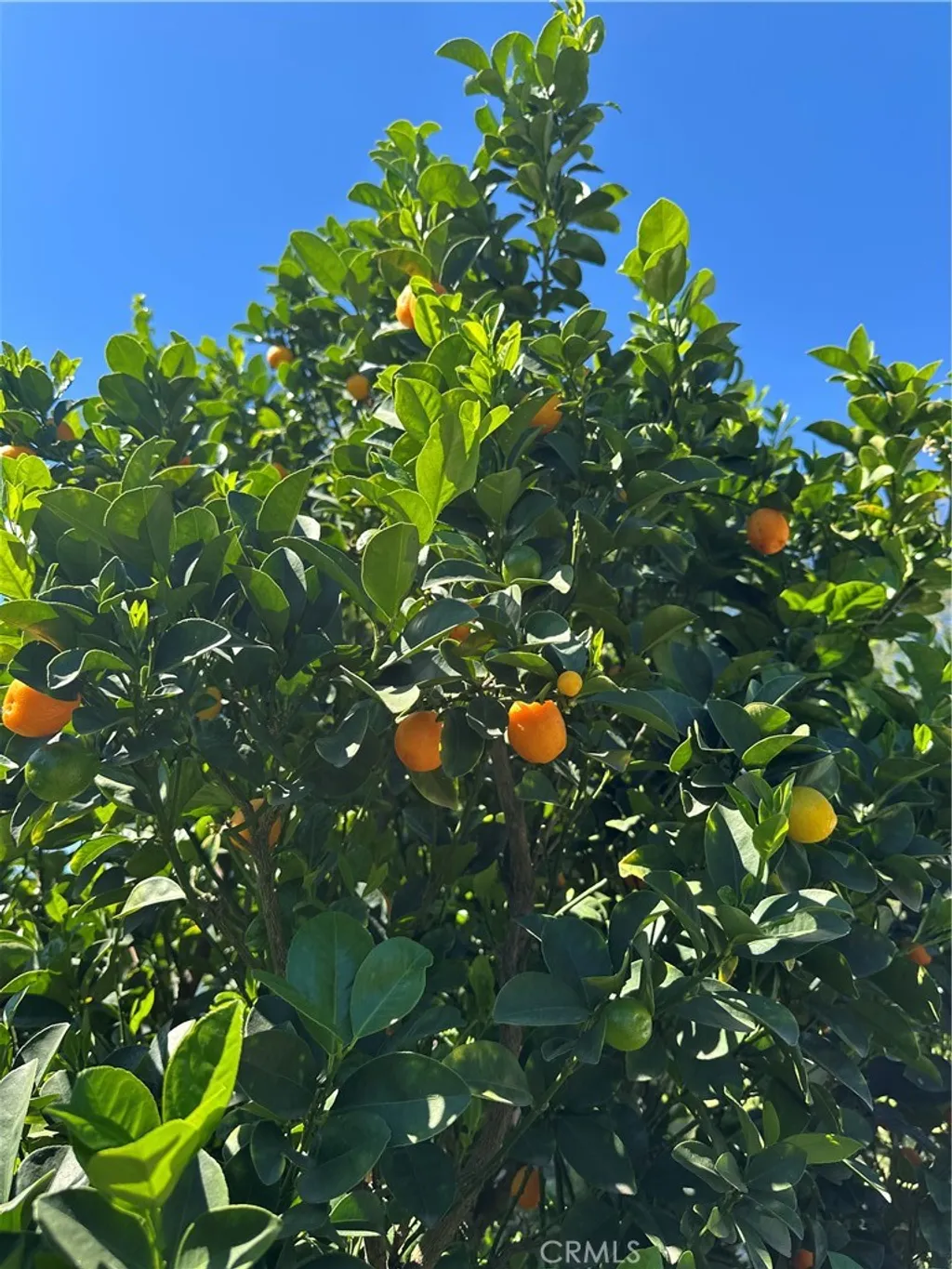 Additional image 13 of 6415 Lederer Ave, West Hills, CA 91307