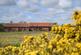 Additional image 6 of Bulcamp Drift, Nr Southwold, Suffolk