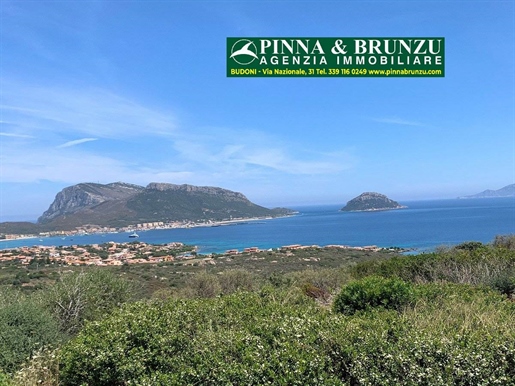 Additional image 2 of San Teodoro (Olbia-Tempio)