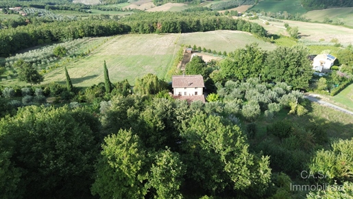 Additional image 7 of Monte Castello di Vibio (Perugia)