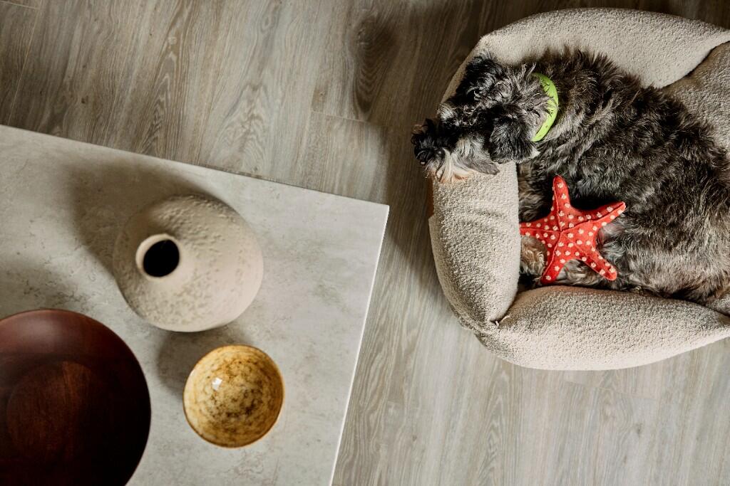 Additional image 5 of 6 Inkwell Place, Birmingham, B16